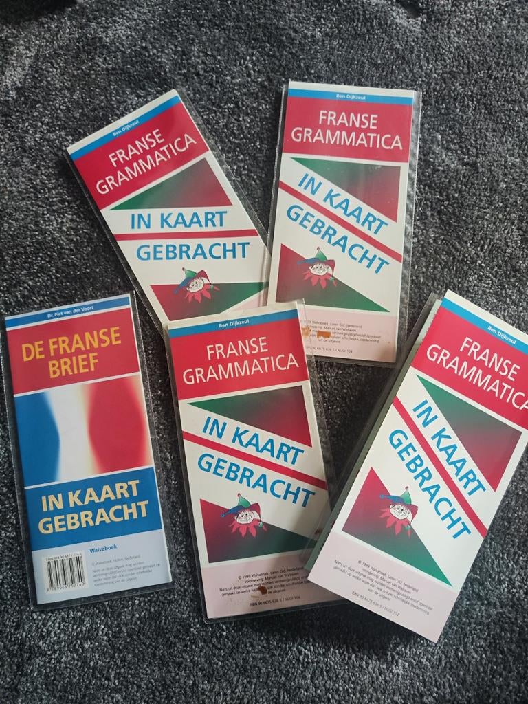 Franse grammatica en brief in kaart gebracht, Boeken, Ophalen of Verzenden, Zo goed als nieuw