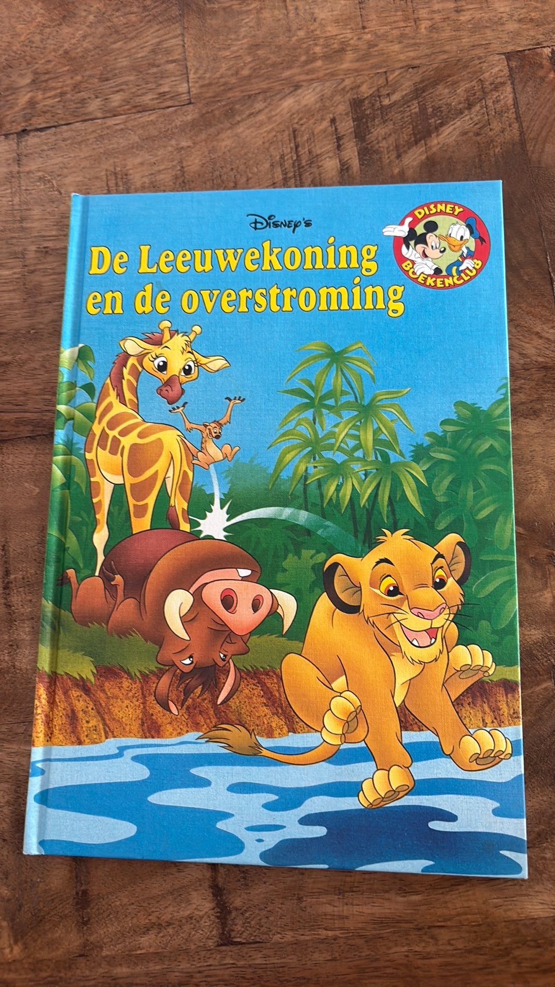 Disney boekenclub, De Leeuwekoning en de overstroming, Ophalen, Zo goed als nieuw, Sprookjes
