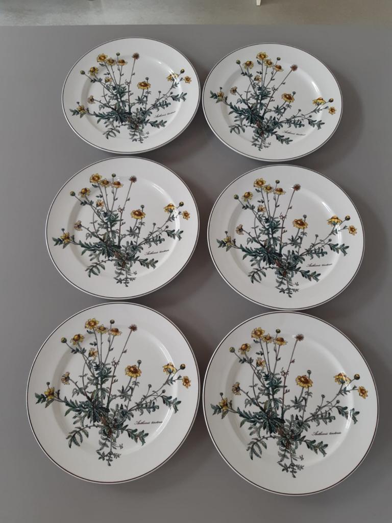 Dinerborden 26,5 cm Villeroy en Boch Botanica, Nieuw, Ophalen of Verzenden, Bord(en), Overige stijlen