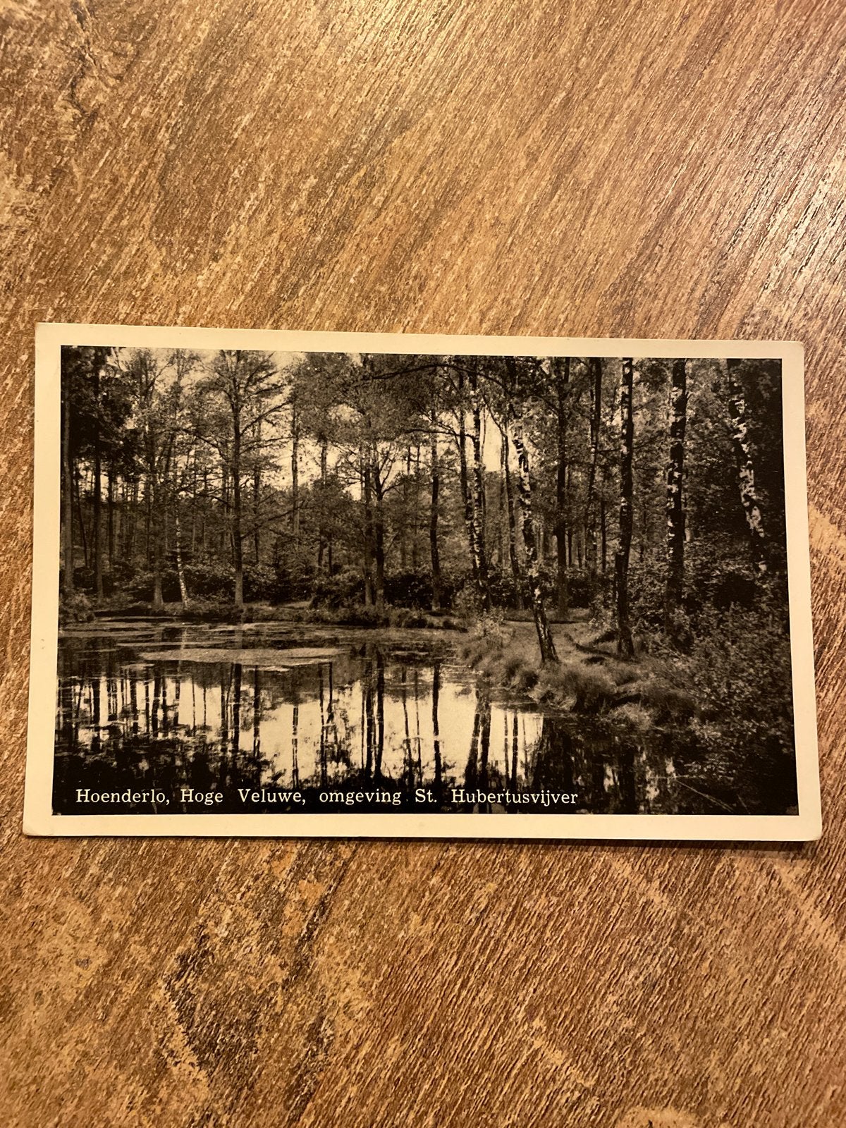 Oude ansichtkaart Hoenderlo, Hoge Veluwe, St. Hubertusvijver, Verzamelen, Ophalen of Verzenden, 1940 tot 1960, Gelopen, Gelderland
