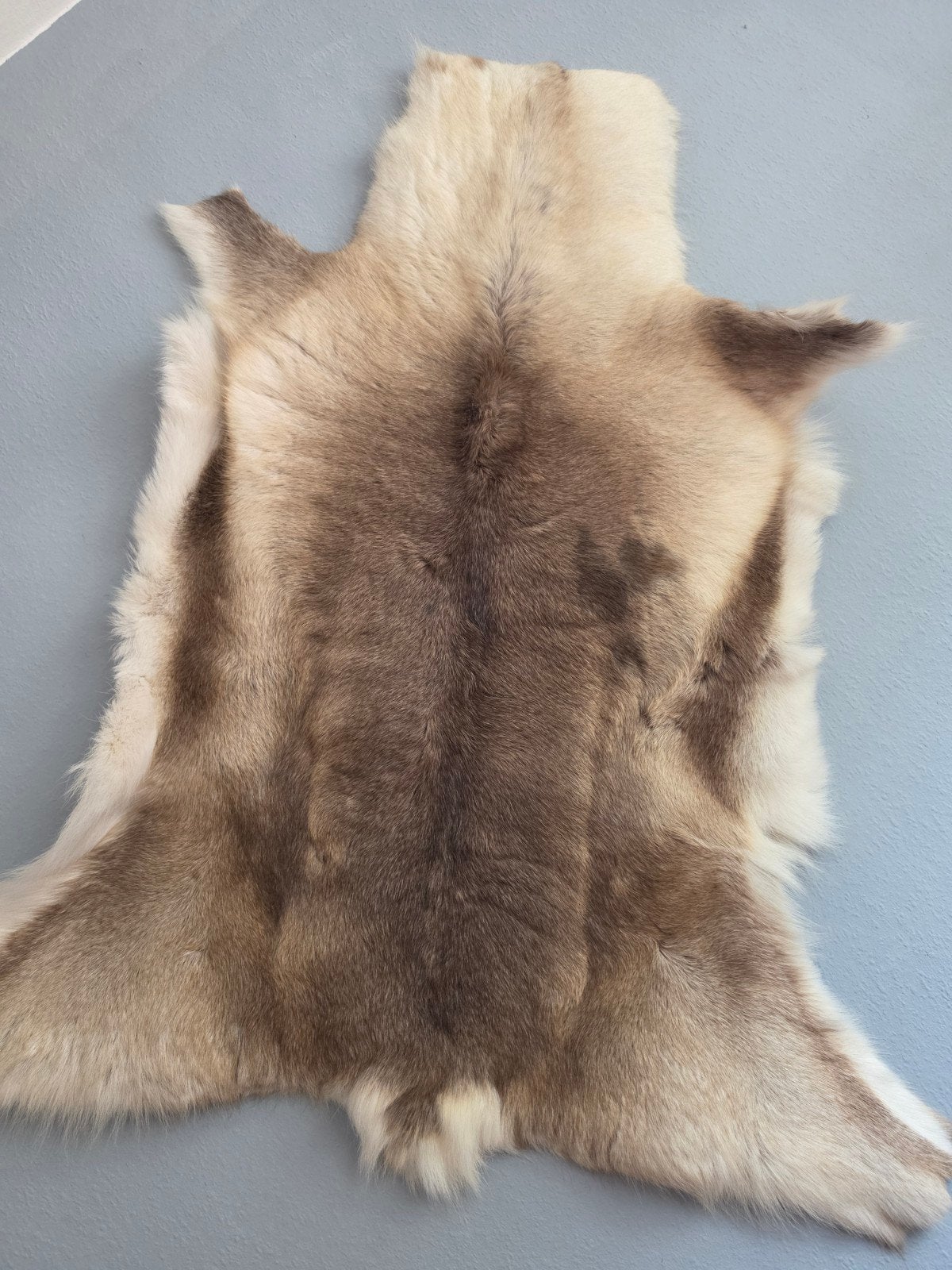 Scandinavische rendier vacht, Ophalen, Overige kleuren, 120 cm, Nieuw