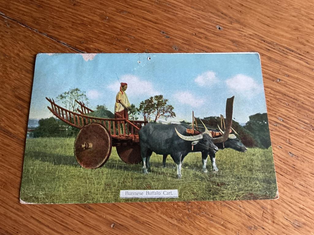 B14 Burmese Buffalo Cart, Ophalen of Verzenden