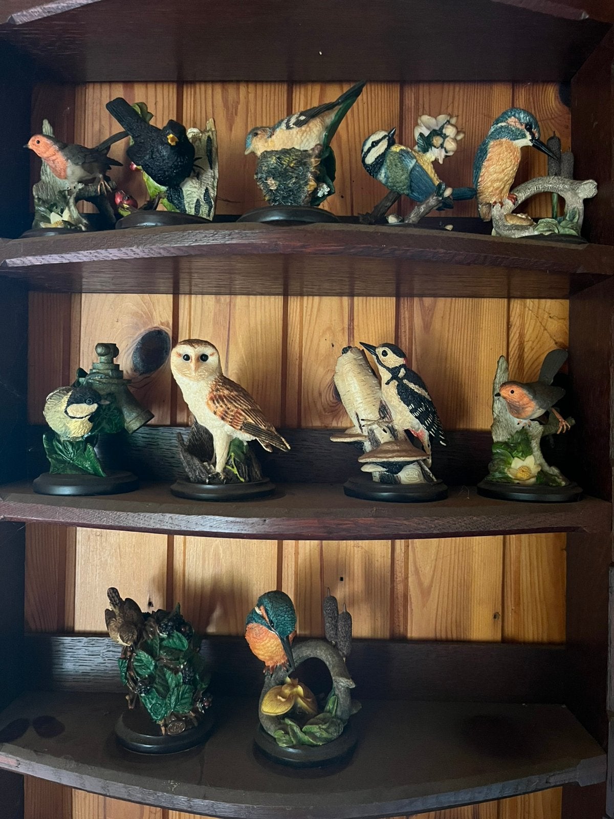 Handbeschilderde vogelbeeldjes collectie, Ophalen, Dier