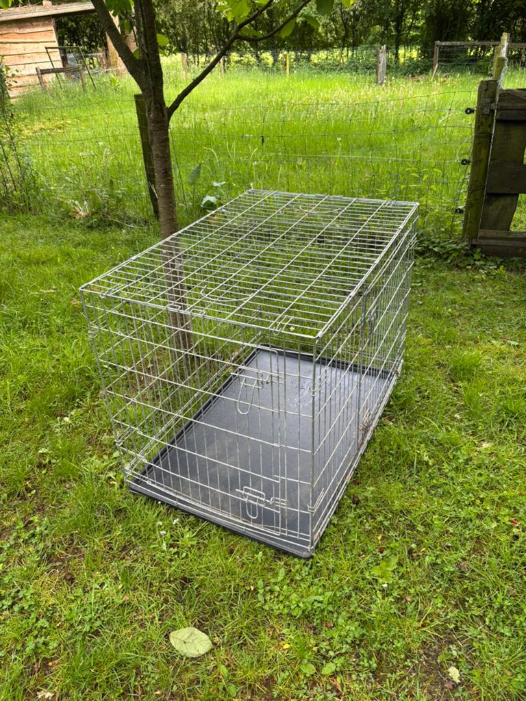 Honden bench XXL, Ophalen of Verzenden, Gebruikt