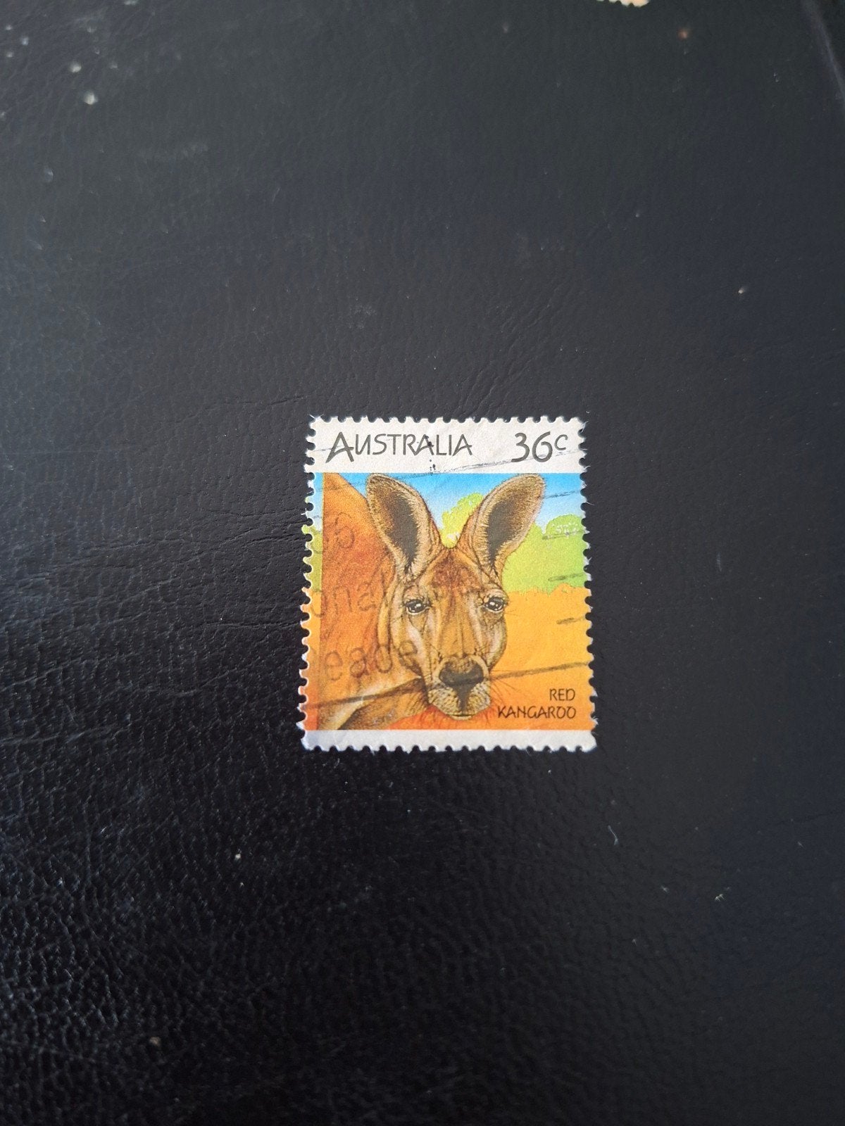 Australië.  kangoeroe, Ophalen of Verzenden, Dier of Natuur