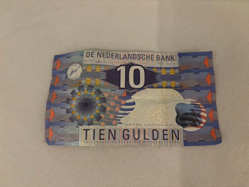 10 Gulden Biljet - IJsvogel(1997), Postzegels en Munten, Ophalen of Verzenden, 10 gulden, Los biljet