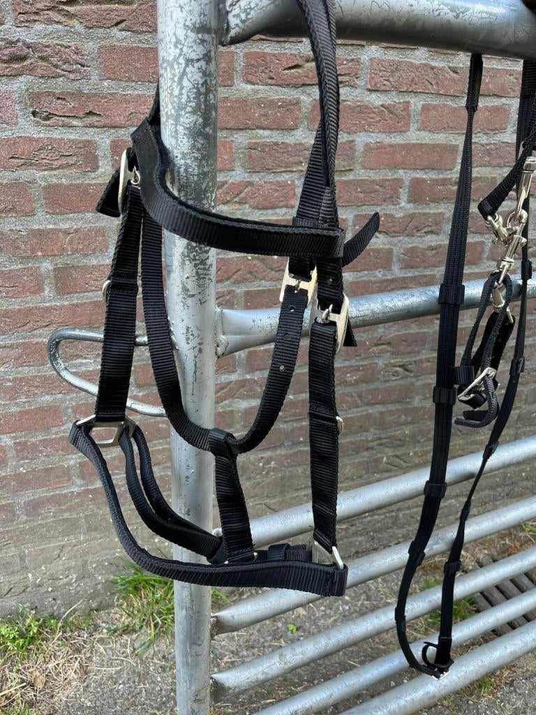 Halster/ hoofdtstel maat full, Ophalen of Verzenden, Zo goed als nieuw