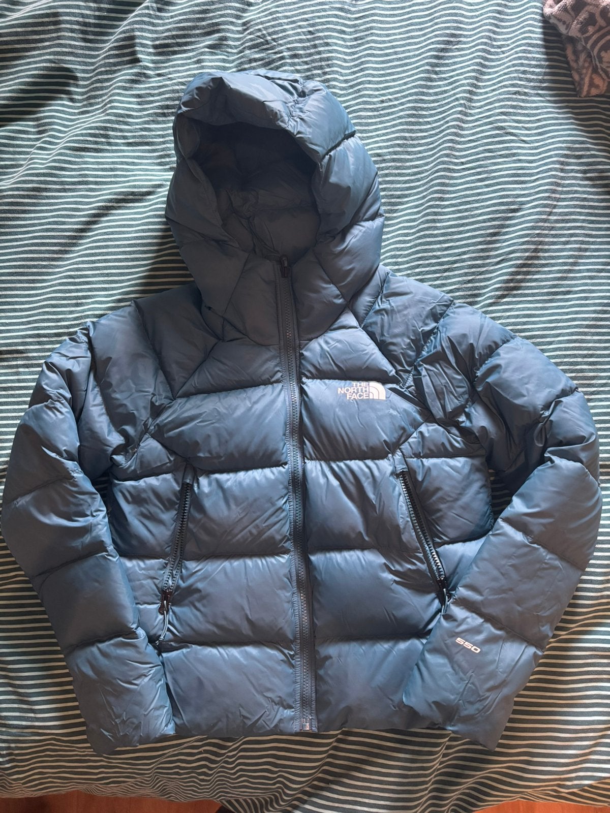 The north face jas XS, Ophalen of Verzenden, Gedragen, Maat 34 (XS) of kleiner, Blauw
