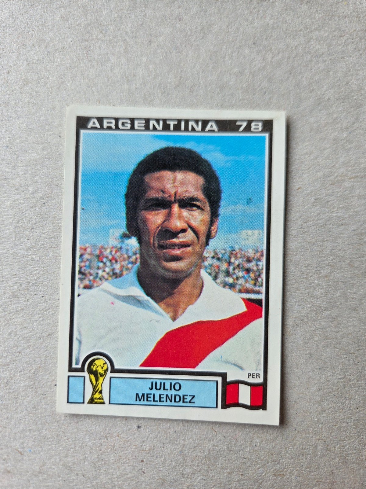 Panini WK 78, Ophalen of Verzenden, Zo goed als nieuw, Buitenlandse clubs, Poster, Plaatje of Sticker
