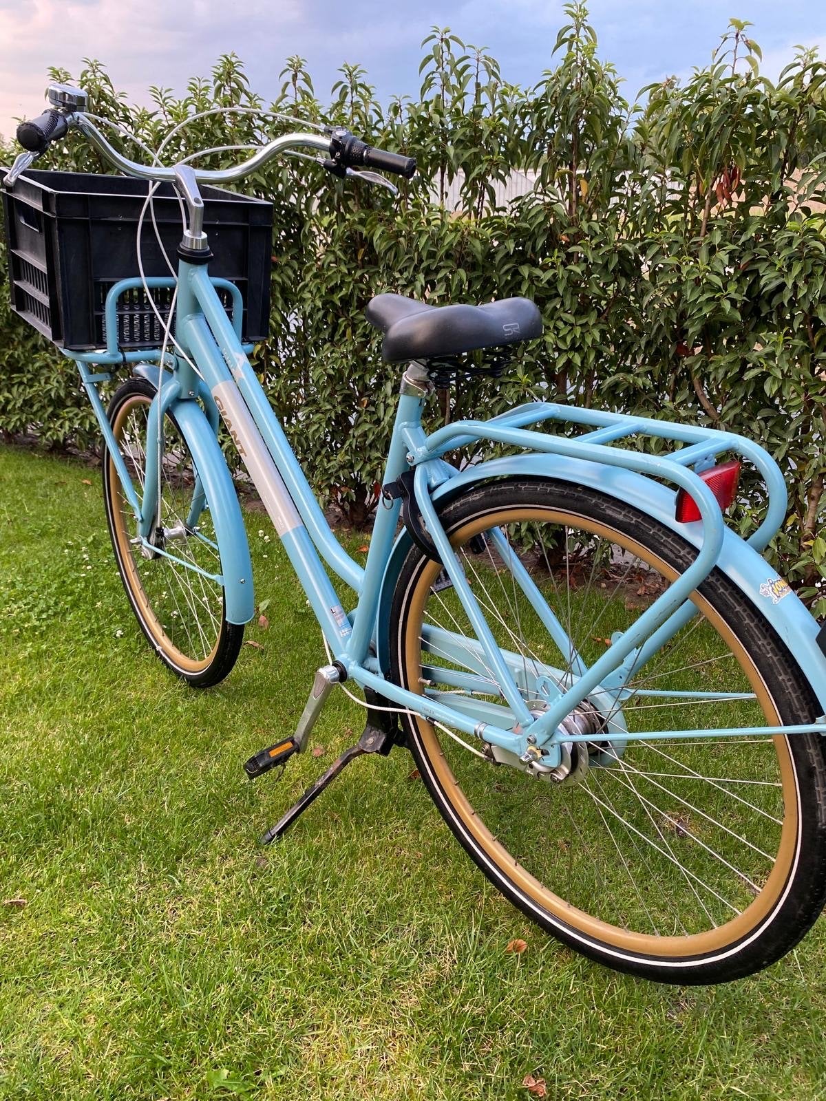 Giant Triple X Damesfiets, Fietsen en Brommers, Terugtraprem, 53 tot 56 cm, Versnellingen, Zo goed als nieuw