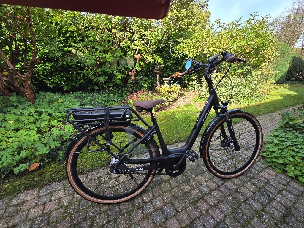 Pegasus Siena nieuwstaat 227km gereden, Overige merken, Ophalen of Verzenden, Zo goed als nieuw, 47 tot 51 cm