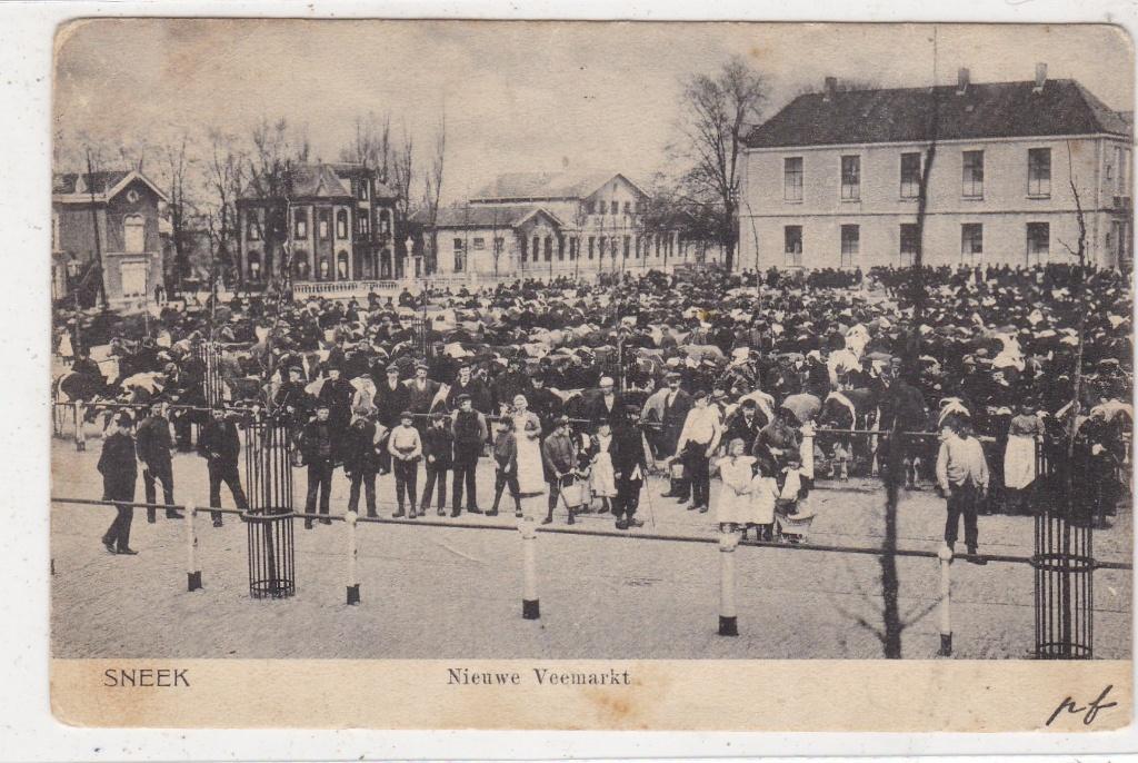 Sneek-Nieuwe Veemarkt 1905, Verzamelen, Ansichtkaarten | Nederland, Verzenden, Voor 1920, Gelopen, Friesland
