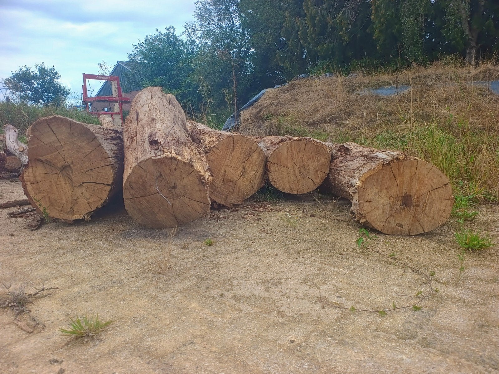 haardhout eik, Tuin en Terras, Haardhout, Minder dan 3 m³, Ophalen