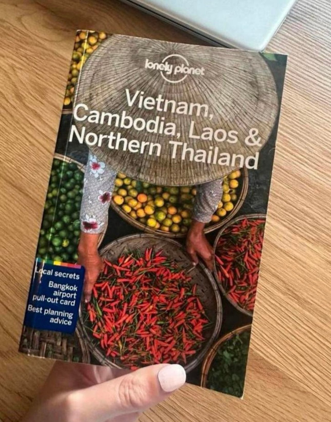 Lonely planet - vietnam, cambodia, laos & northern thailand, Boeken, Ophalen of Verzenden, Zo goed als nieuw