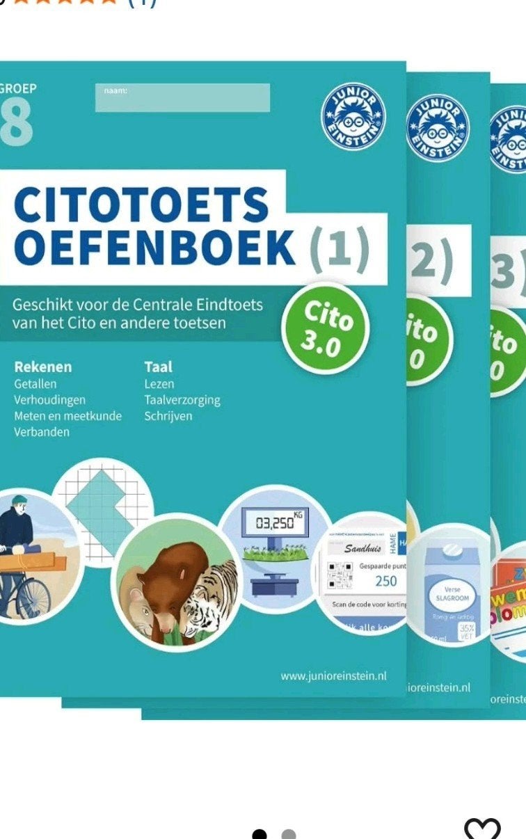Cito Toets Oefenboek Groep 8 (deel 1, 2, 3) Junior Einstein, Ophalen, Zo goed als nieuw, Overige niveaus, Nederlands