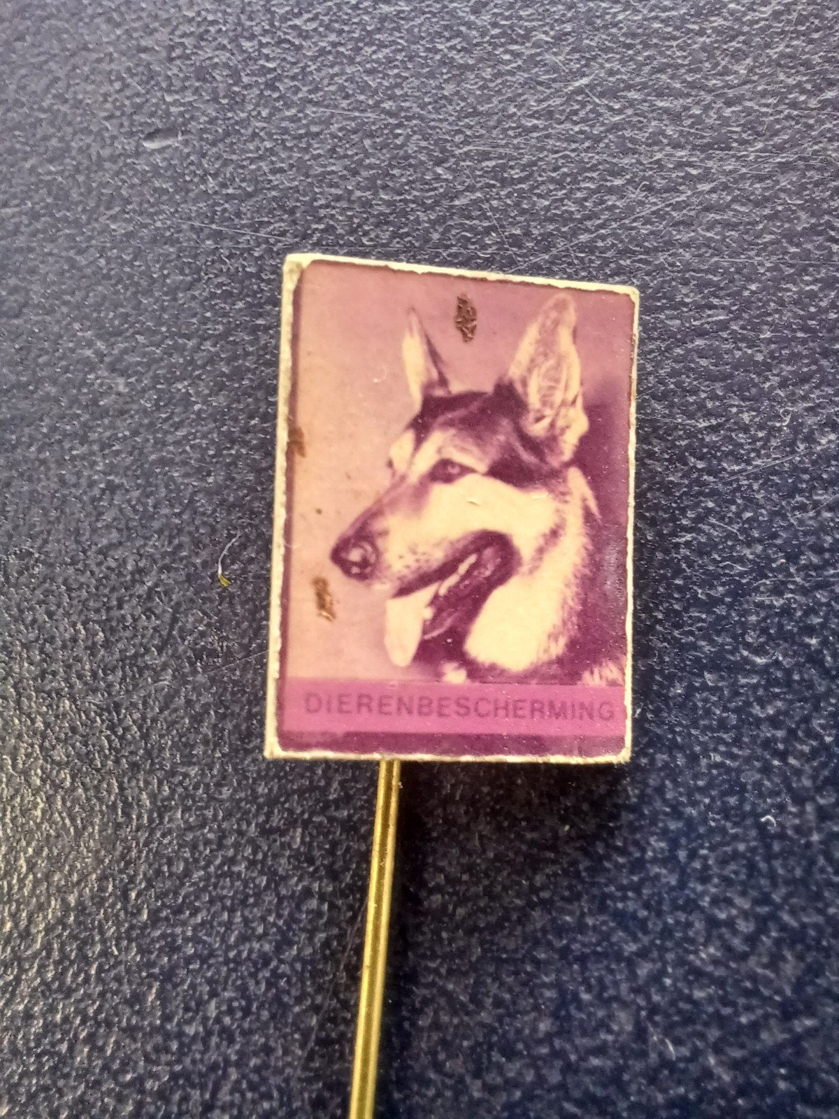 Speldje Dierenbescherming Herdershond, Ophalen of Verzenden, Gebruikt, Overige onderwerpen, Speldje of Pin