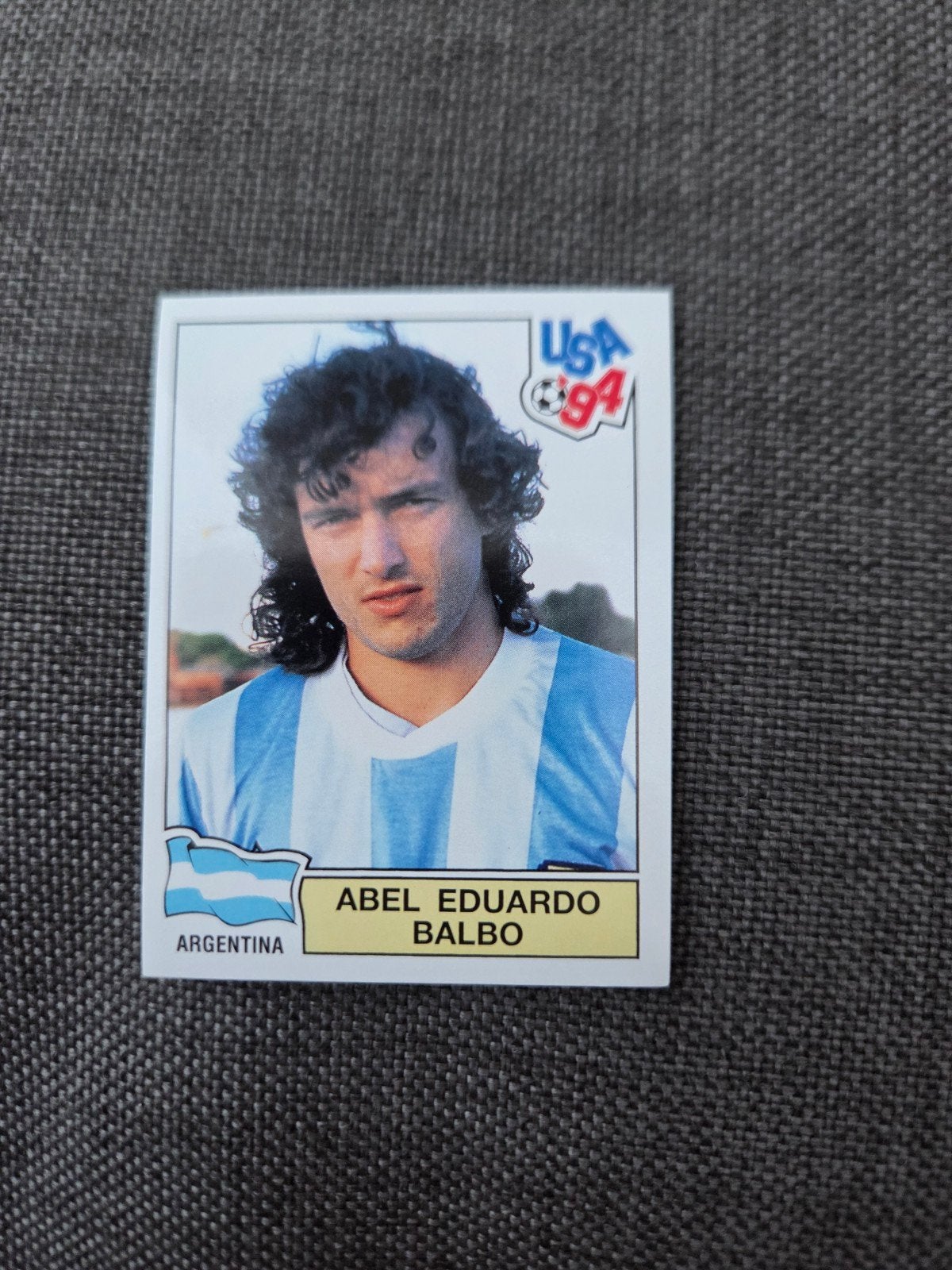 Panini WK 94, Ophalen of Verzenden, Zo goed als nieuw, Sticker
