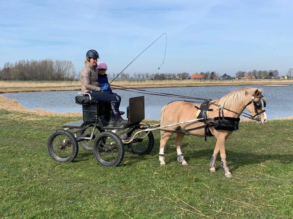 Concourswagen voor A/B pony, Dieren en Toebehoren, Ophalen, Gebruikt