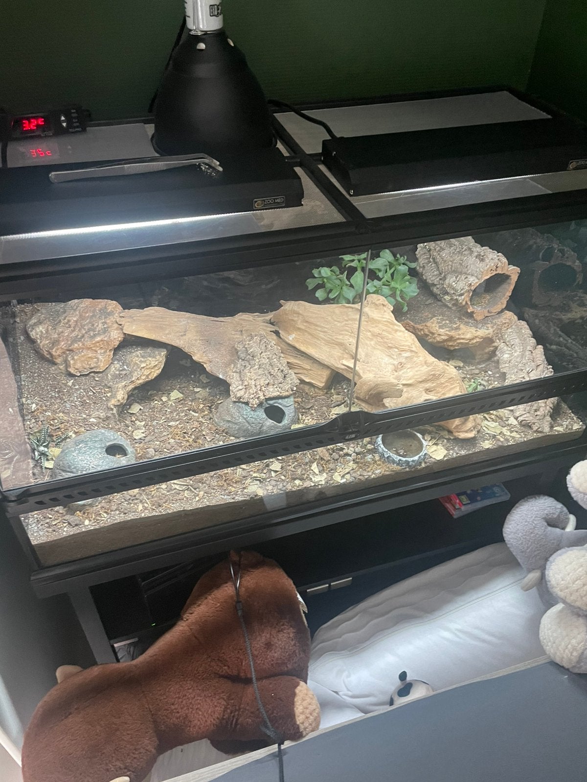 Exo terra Pro 904545 cm incl meubel, Ophalen, Zo goed als nieuw, Terrarium of Paludarium