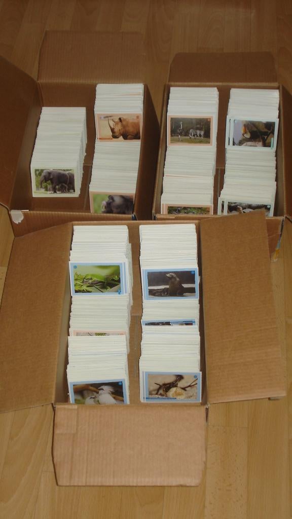 BLIJDORP PLAATJES/ STICKERS ( GRATIS ) ZIE TEKST, Verzamelen, Jumbo, Ophalen of Verzenden
