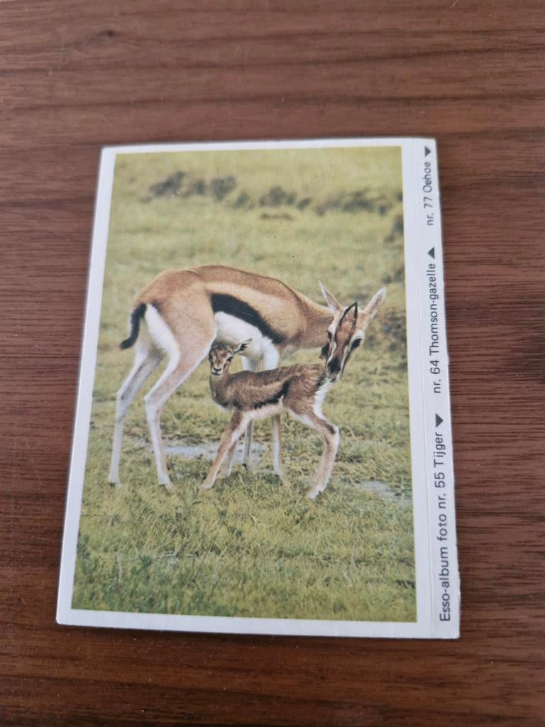 7740 Sticker Esso Album Foto nr. 64 Thomson-gazelle, Ophalen of Verzenden