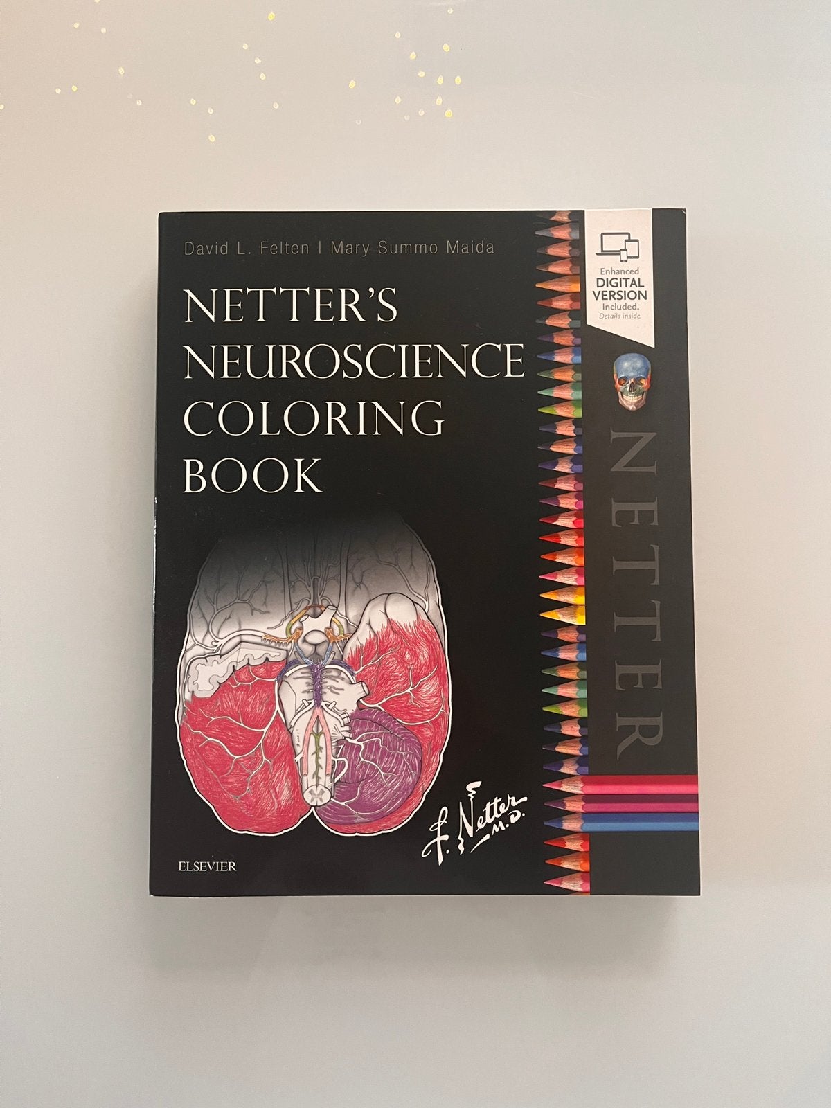 Netter’s Neuroscience Coloring Book: David L. Felten (2015), Ophalen of Verzenden, Beta, Zo goed als nieuw, WO