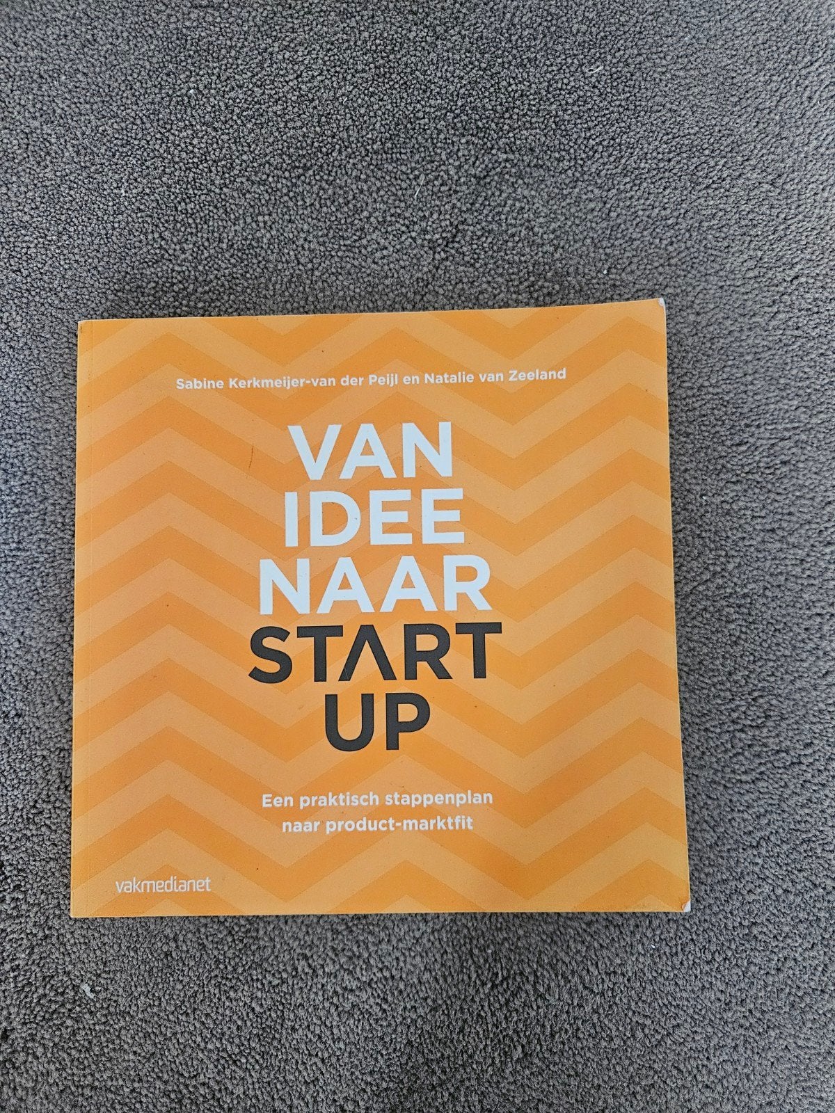Van Idee Naar Start-Up: Praktisch Stappenplan, Ophalen of Verzenden, Zo goed als nieuw, E-commerce en Internet, Sabine Kerkmeijer-van der Peijl en Natalie van Zeeland