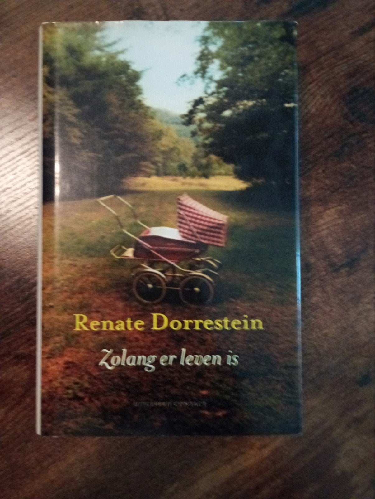 Zolang er leven is - Renate Dorrestein, Ophalen, Zo goed als nieuw, Renate Dorrestein, Nederland
