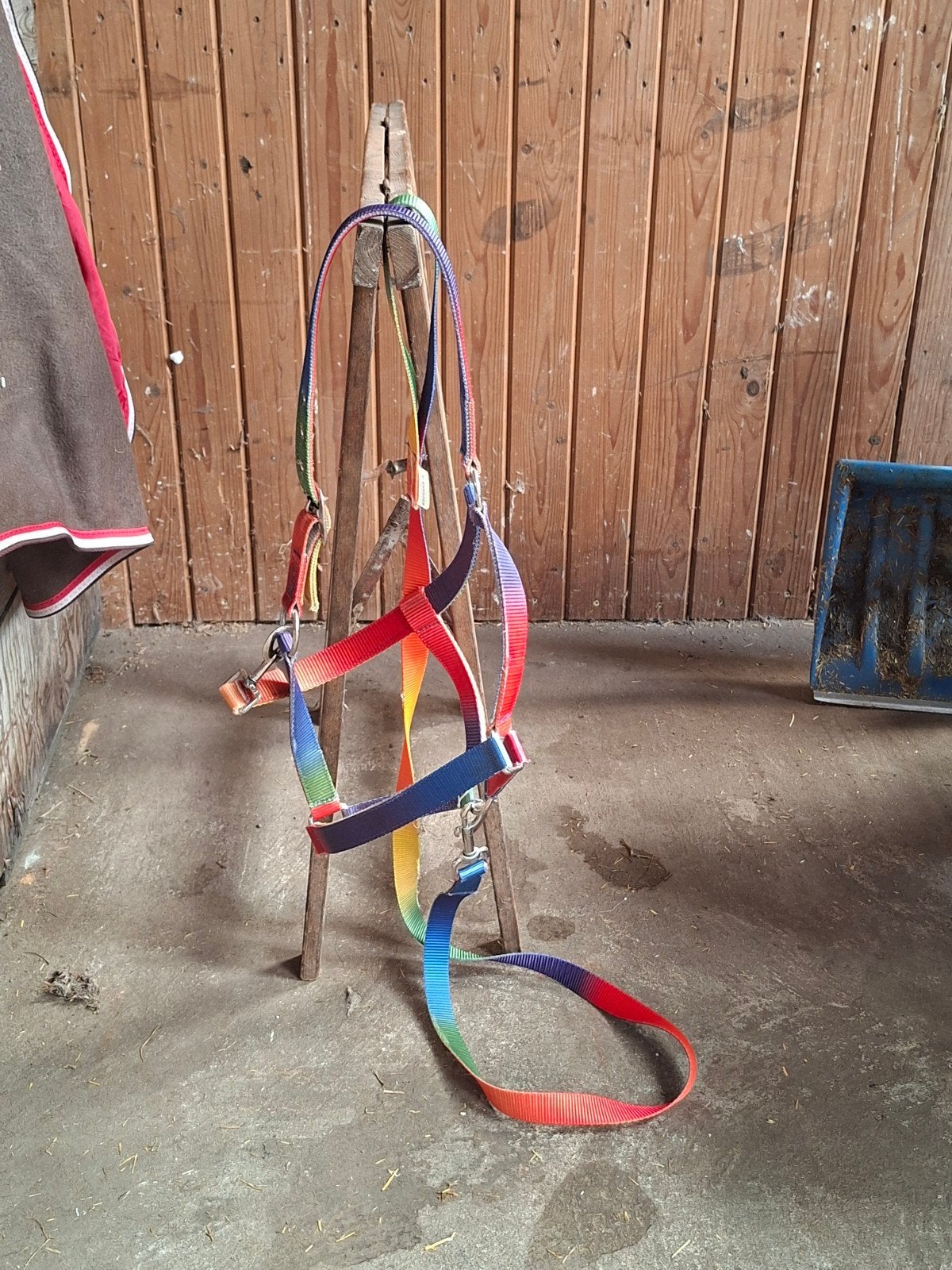 Regenboog halster met touw, Ophalen of Verzenden, Gebruikt