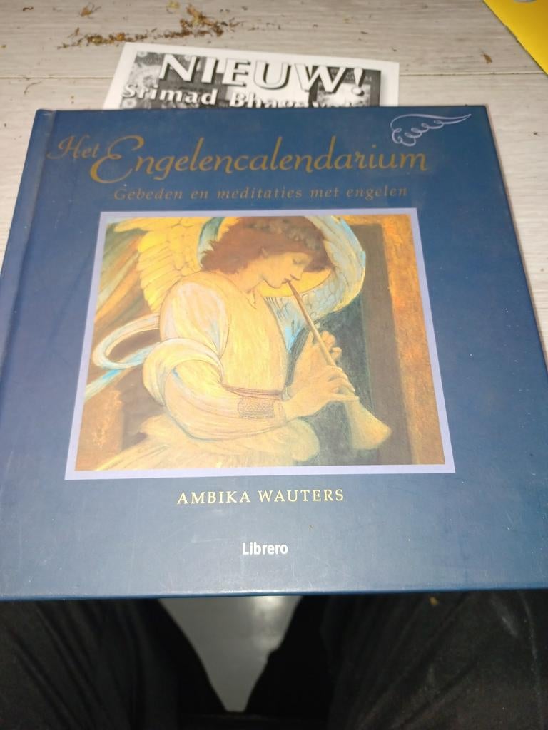 Ambika Wauters - Het Engelencalendarium, Boeken, Astrologie, Overige typen, Ambika Wauters, Ophalen of Verzenden