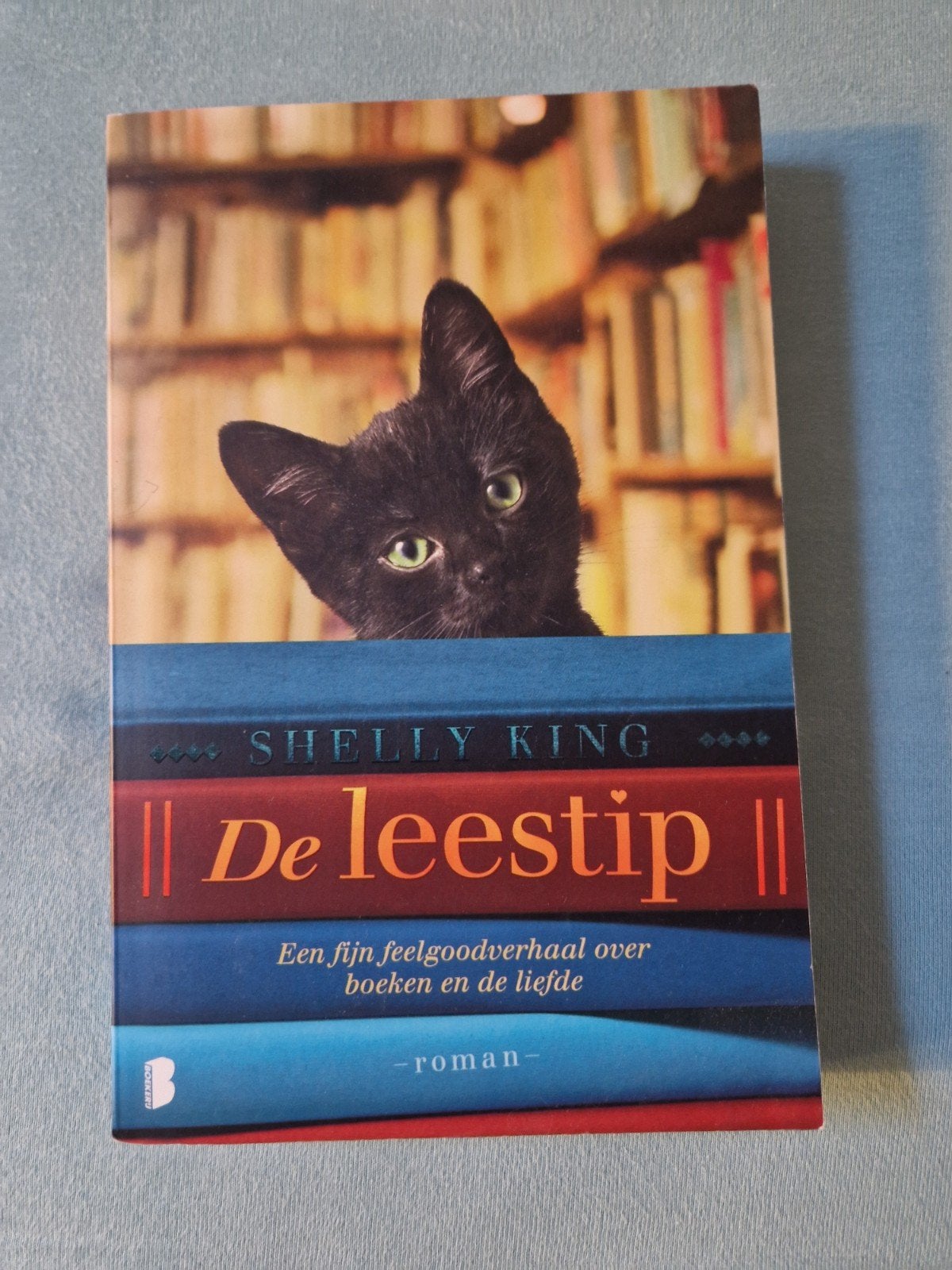 Verschillende romans, Boeken, Ophalen of Verzenden, Gelezen