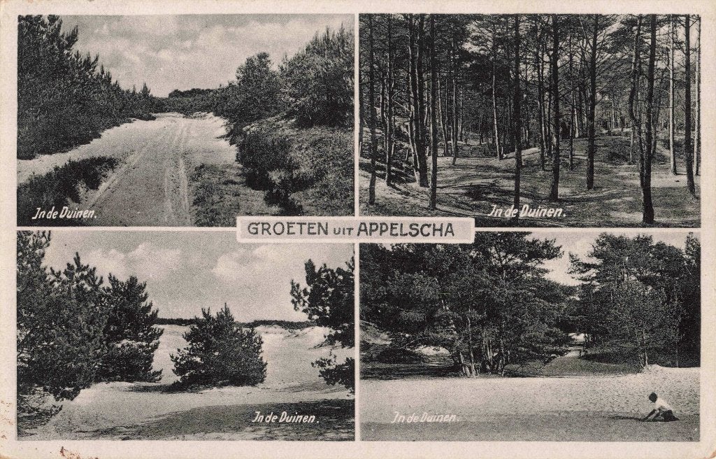 Appelscha Duinen L3079, Ophalen, 1920 tot 1940, Gelopen, Friesland