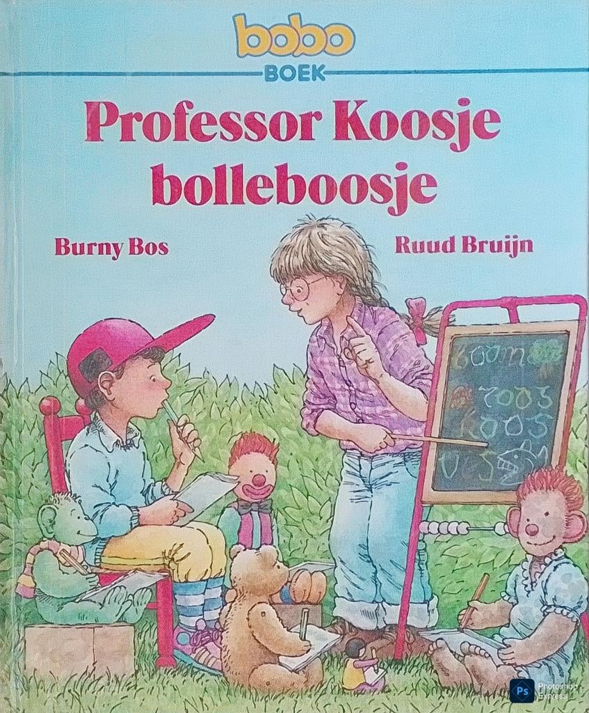 Professor Koosje Bolleboosje, Boeken, Gelezen, 5 of 6 jaar, Jongen of Meisje, Ophalen of Verzenden