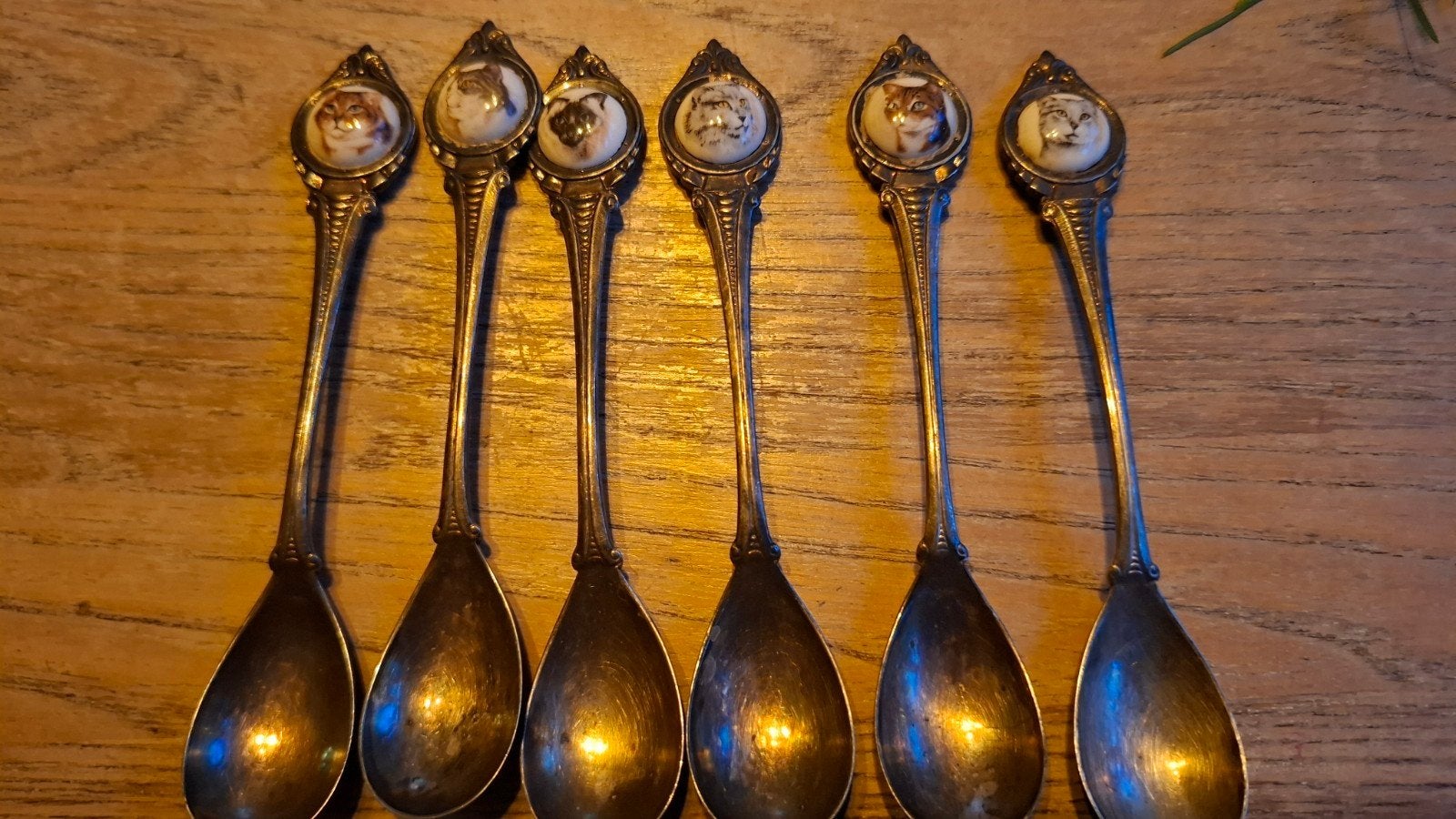 6 theelepeltjes katten poezen H. Hooijkaas verzilverd, Ophalen of Verzenden