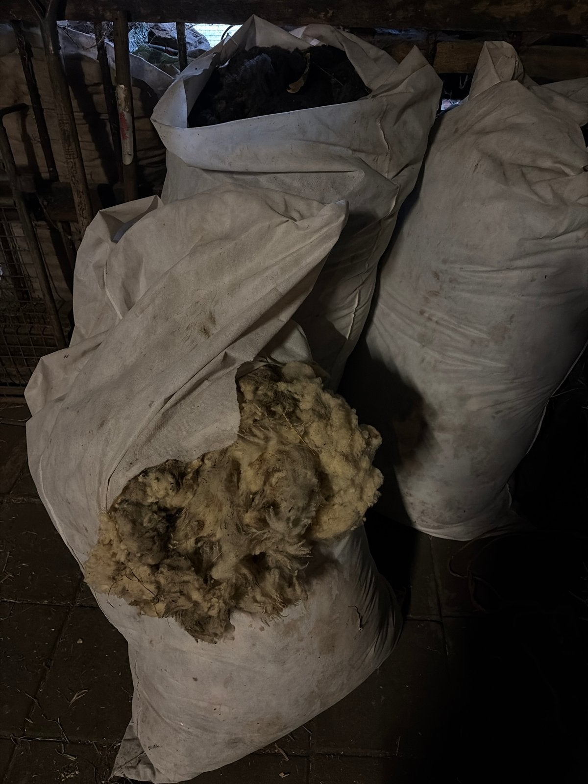 Wol van Texelaar schapen - Wit en donker, Ophalen of Verzenden, Gebruikt