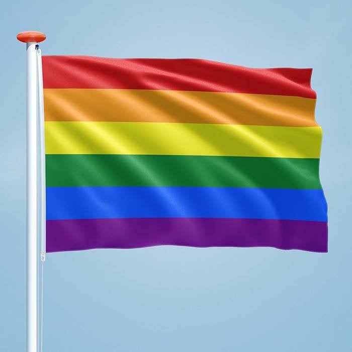 Regenboog vlag, pride - 90 x 60cm | 10 stuks, Ophalen of Verzenden, Nieuw