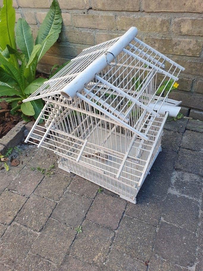 Houten vogelkooi, Ophalen, Gebruikt, Hout, Vogelkooi