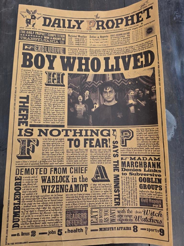 Harry potter poster, Antiek en Kunst, Ophalen of Verzenden