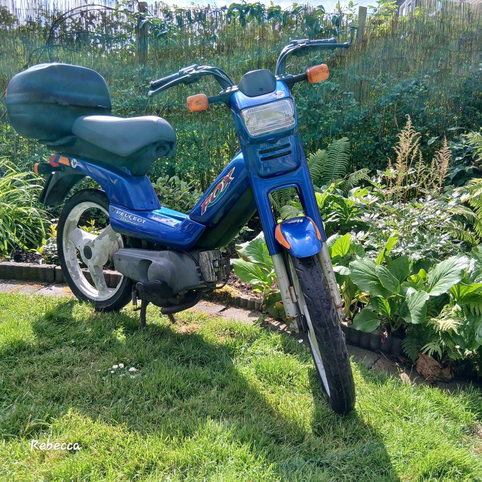 Vintage Peugeot Fox brommer - Rijdend en compleet, Ophalen, Gebruikt, Maximaal 45 km/u, Fox