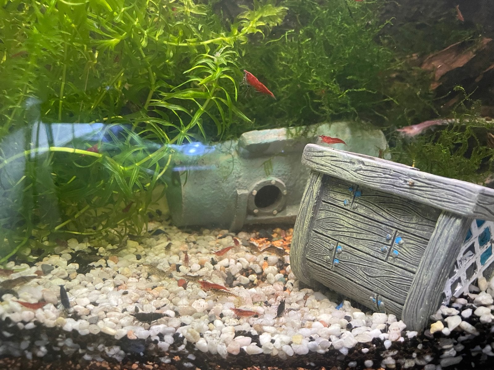 Mooie complete aquarium, Ophalen, Zo goed als nieuw, Leeg aquarium