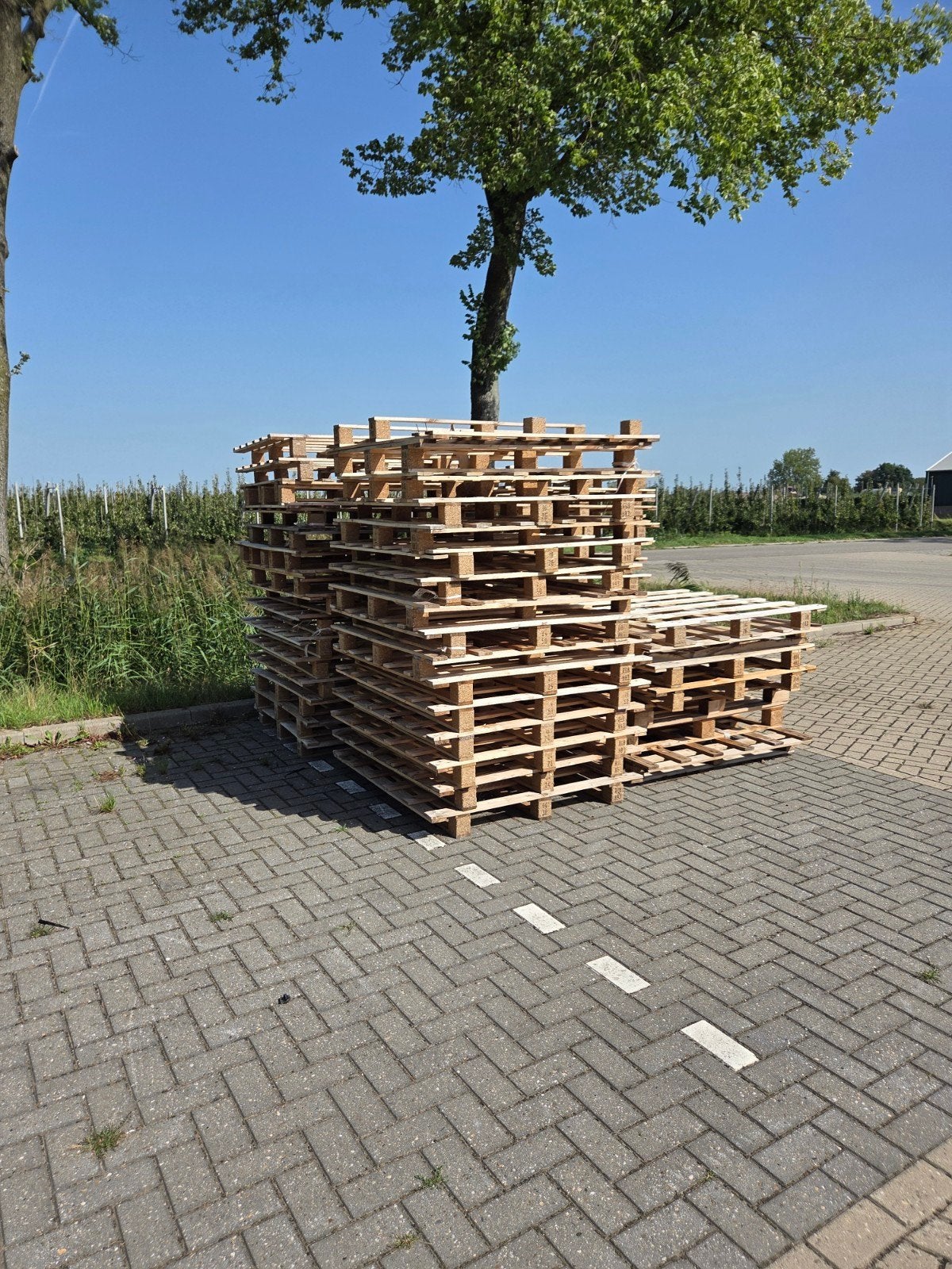 pallets gratis af te halen, Doe-het-zelf en Verbouw, Ophalen, Overige houtsoorten, Minder dan 200 cm, Pallet