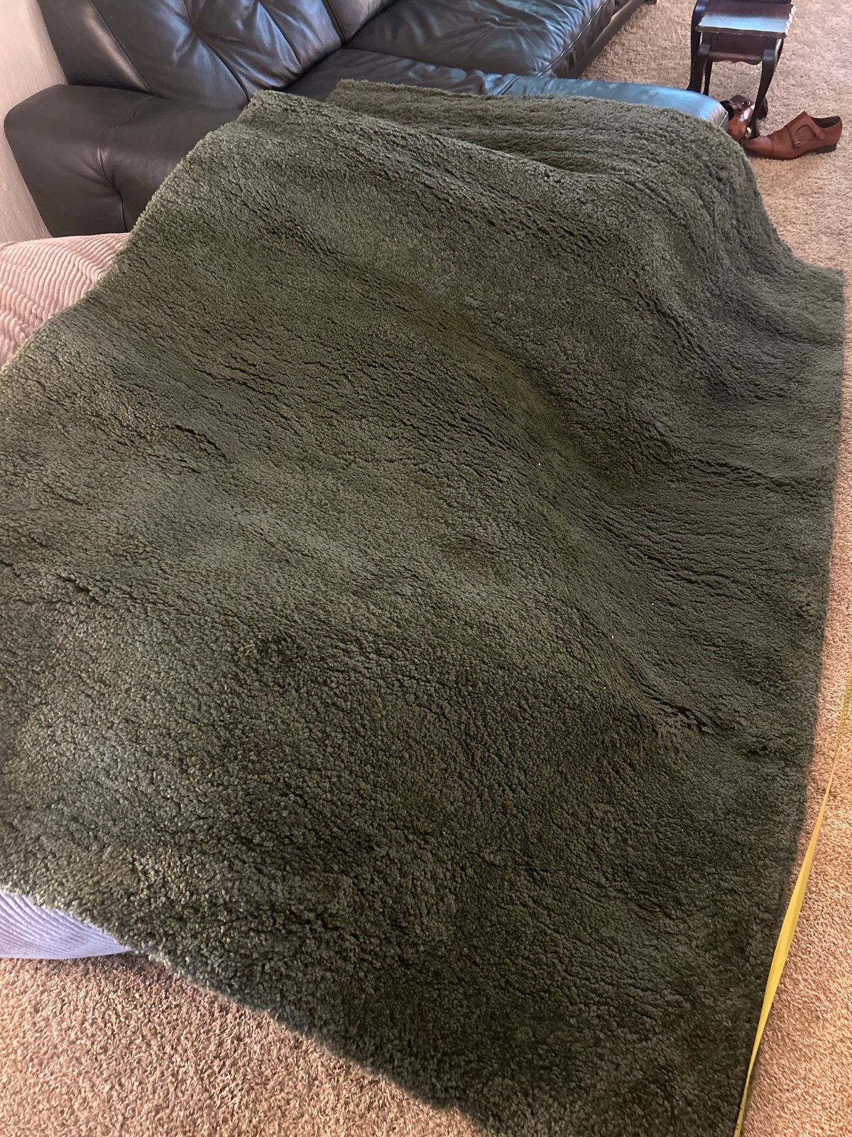 Vloerkleed Sintra groen Karwei 160x230 cm, Huis en Inrichting, Stoffering | Tapijten en Kleden, Ophalen, Gebruikt, 150 tot 200 cm