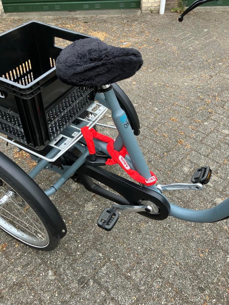 Van Raam Maxi Electro driewieler met accessoires, Ophalen, Zo goed als nieuw