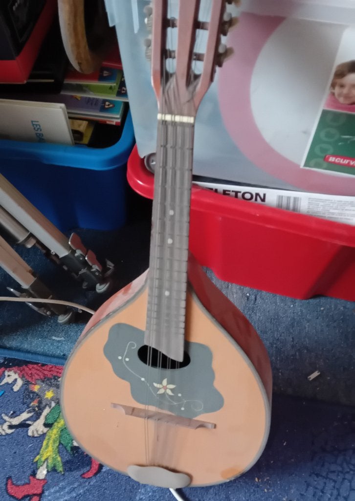 Mandoline uit de jaren 50, Ophalen of Verzenden, Gebruikt