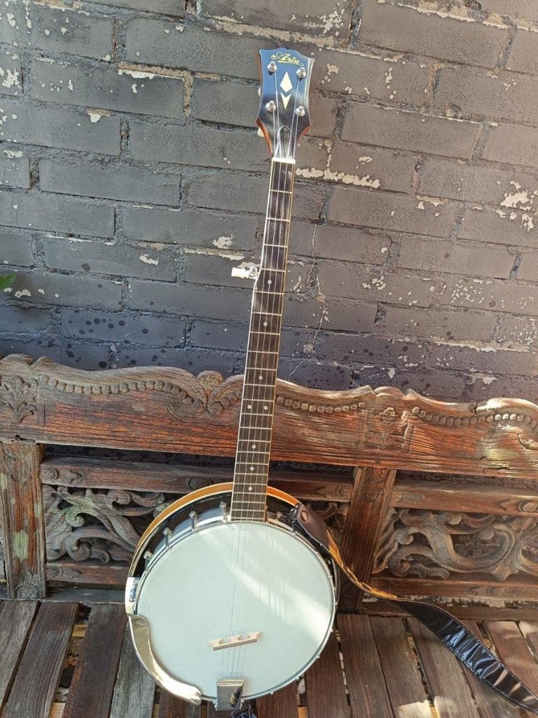 Aria 5 string Banjo, Seizoenskaart, Eén persoon
