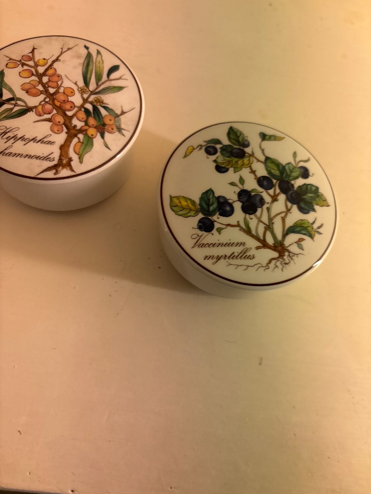 Villeroy & Boch Botanica Kruidenpotjes (2 stuks), Ophalen of Verzenden