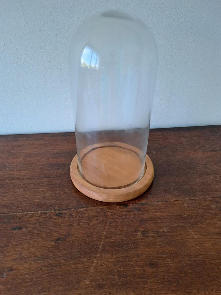 Glazen stolp op ronde houten plank., Ophalen of Verzenden, Nieuw, Glas