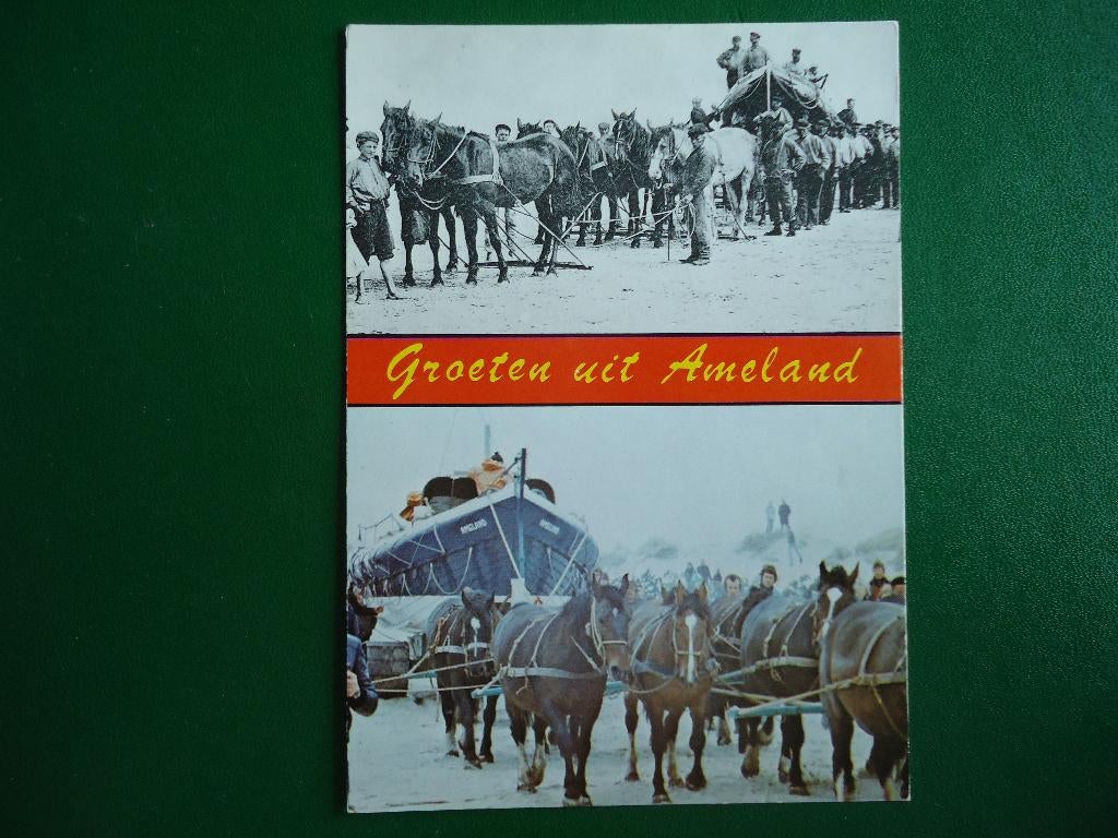 (1272) Kaart: Groeten uit AMELAND, Verzenden, 1980 tot heden, Ongelopen, Waddeneilanden
