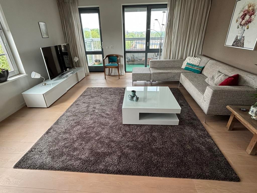 Vloerkleed van Eijerkamp woonwinkel, Ophalen, Gebruikt, Half hoog pollig, Grijs