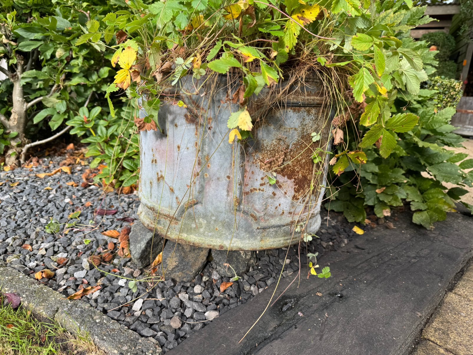 Grote gietijzeren plantenbak, wegens aanschaf grotere, Ophalen, Gebruikt, Minder dan 60 cm, Rond